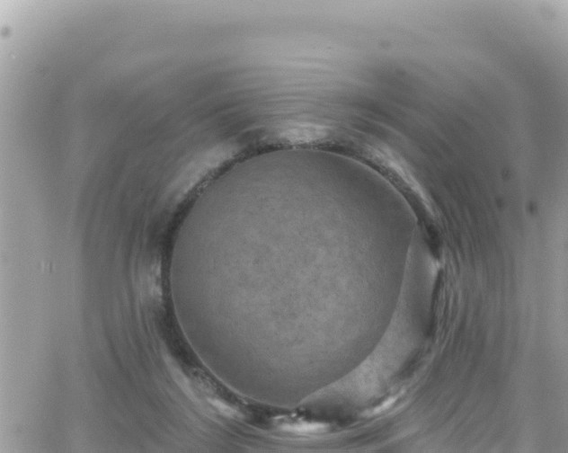 X0000066510212200603241315