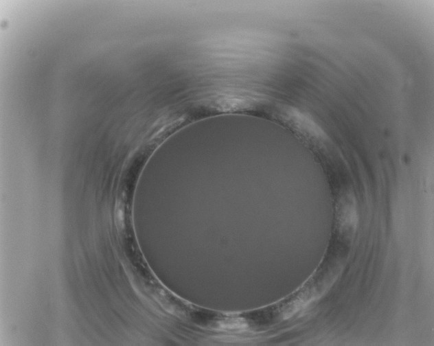 X0000066510214200603241315