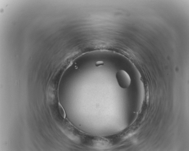 X0000066510215200603241315