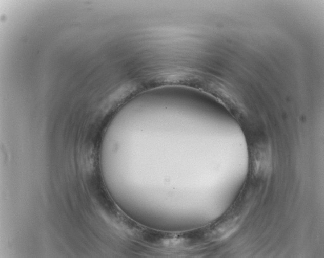 X0000066510216200603241315