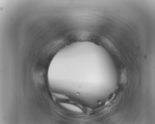 X0000066510217200603241315