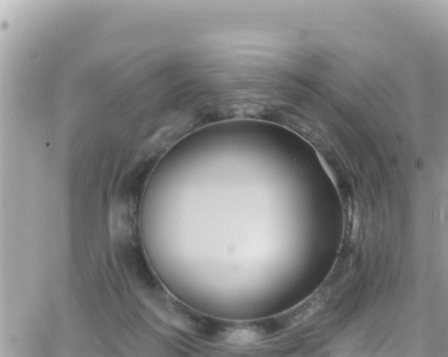 X0000066510218200603241315