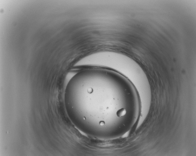 X0000066510219200603241315