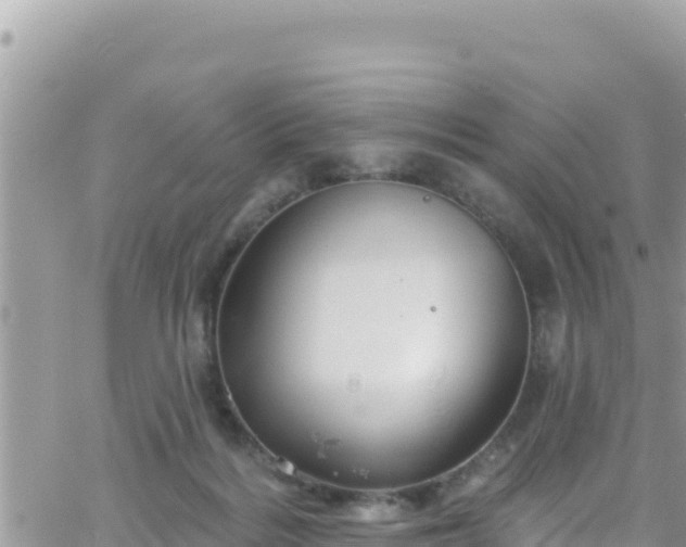 X0000066510220200603241315