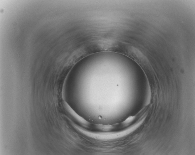 X0000066510221200603241315