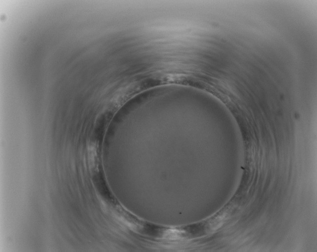 X0000066510222200603241315