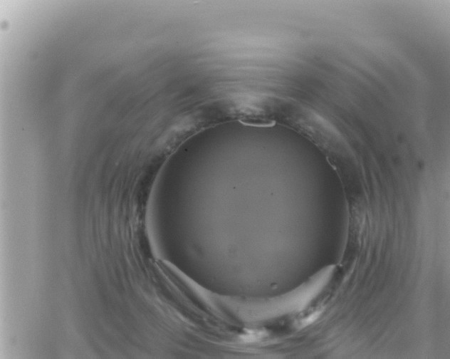 X0000066510223200603241315