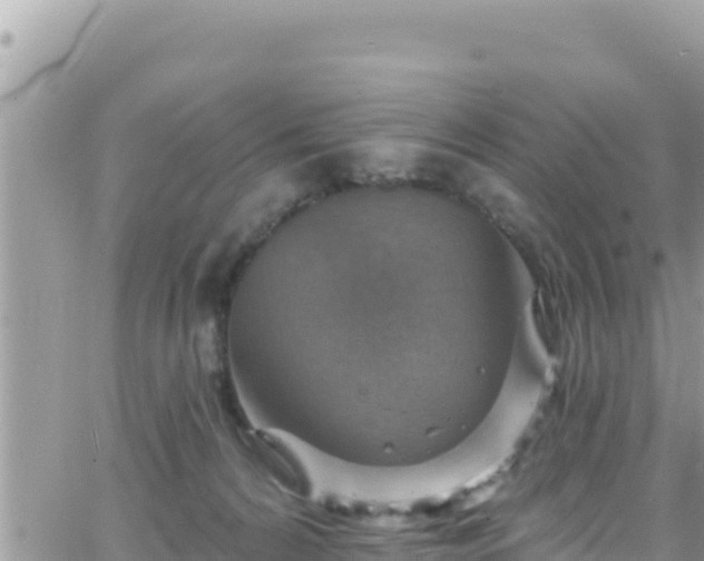 X0000066510224200603241315