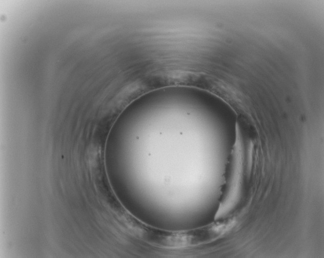 X0000066510225200603241314