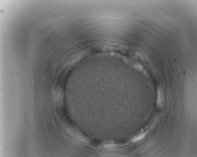 X0000066510228200603241314