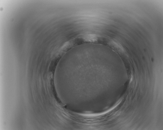 X0000066510229200603241314