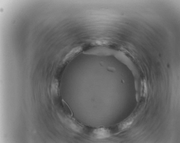 X0000066510231200603241314