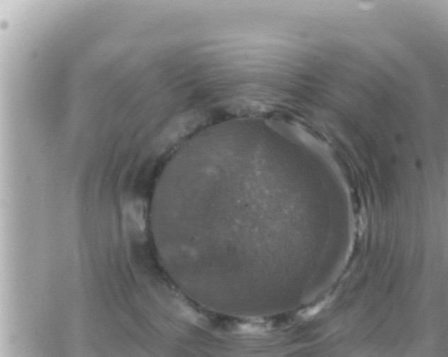 X0000066510232200603241314