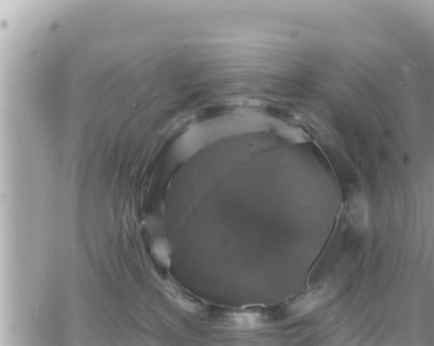 X0000066510233200603241314