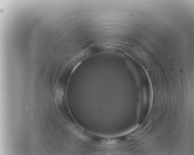 X0000066510235200603241314