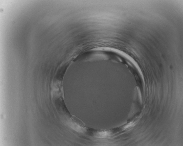 X0000066510237200603241314