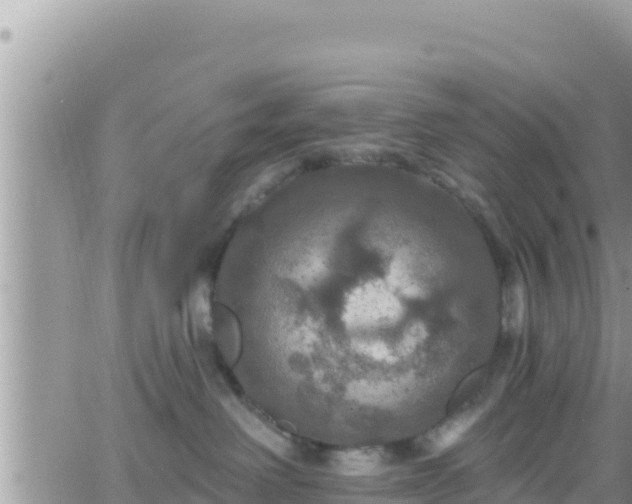 X0000066510238200603241314