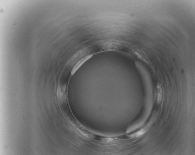 X0000066510239200603241314