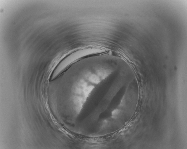 X0000066510241200603241313