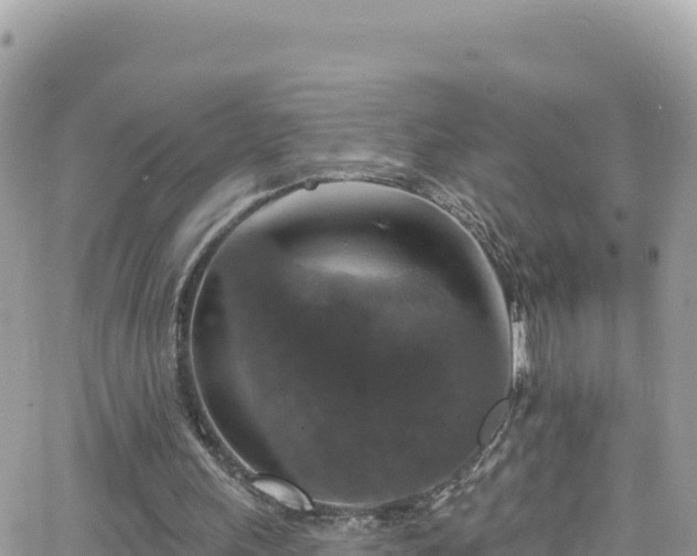 X0000066510243200603241314