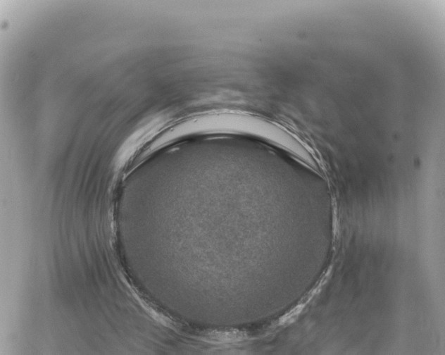 X0000066510245200603241314