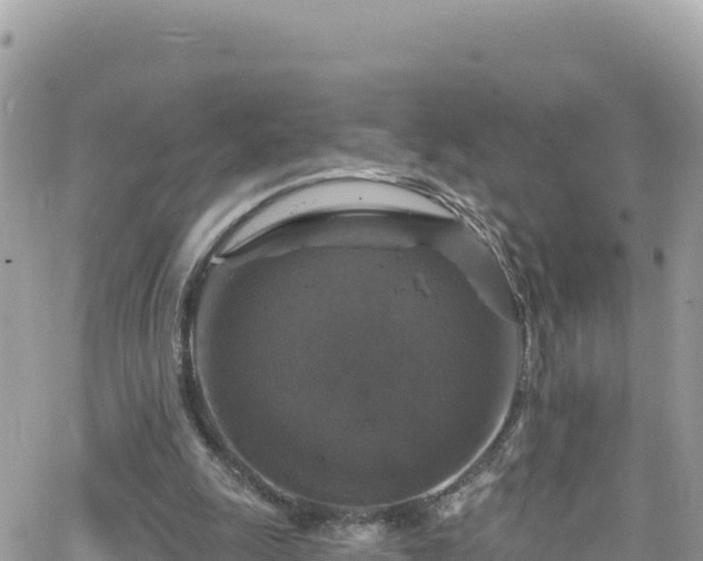 X0000066510247200603241314