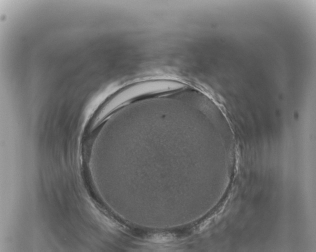 X0000066510248200603241314