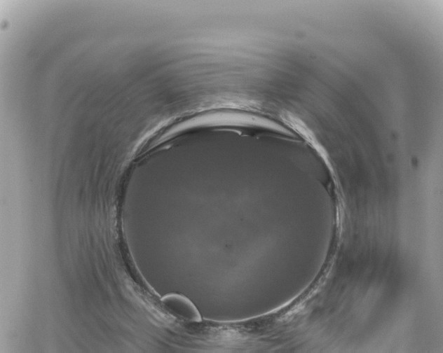 X0000066510249200603241314