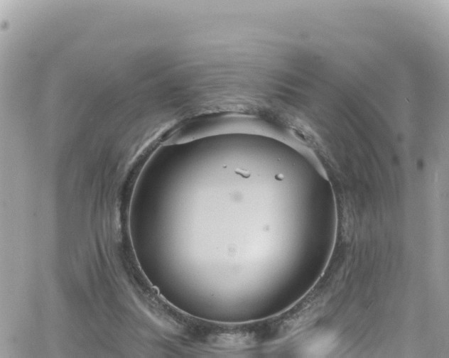 X0000066510251200603241314