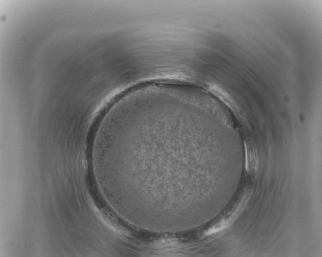 X0000066510252200603241314