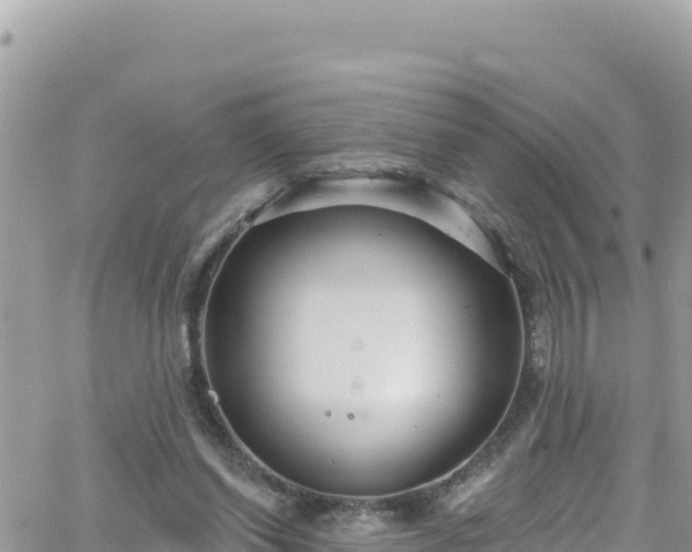 X0000066510254200603241314