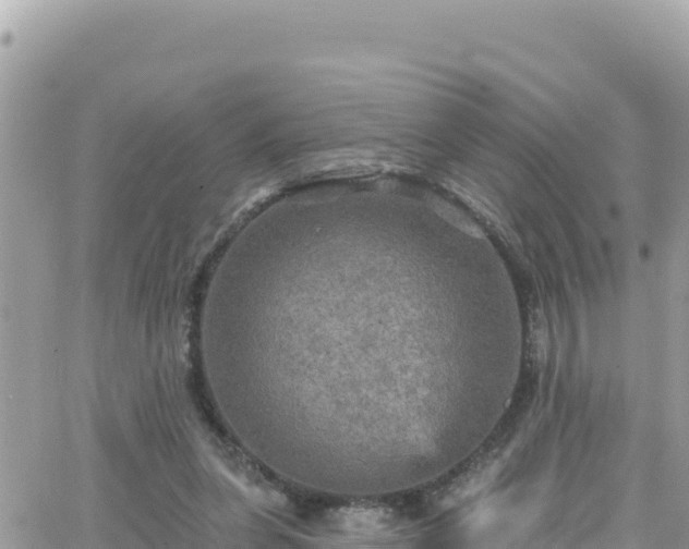 X0000066510255200603241314