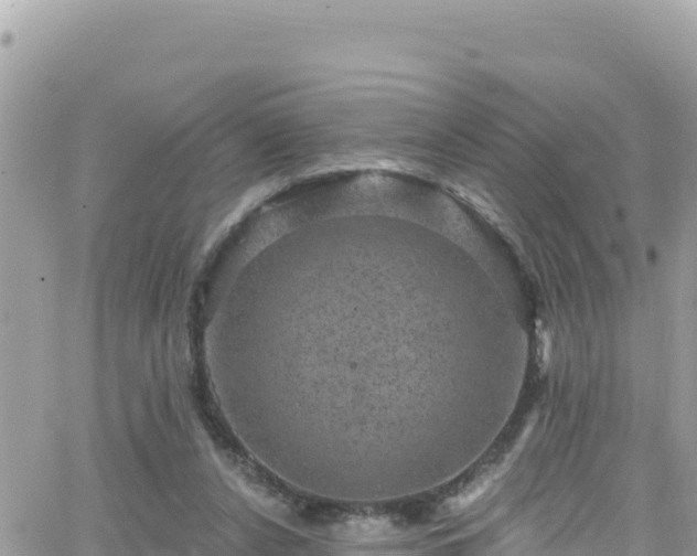 X0000066510256200603241314