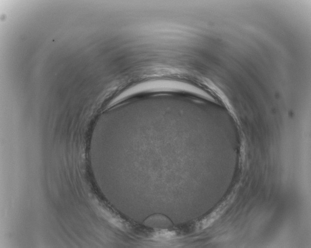 X0000066510257200603241314