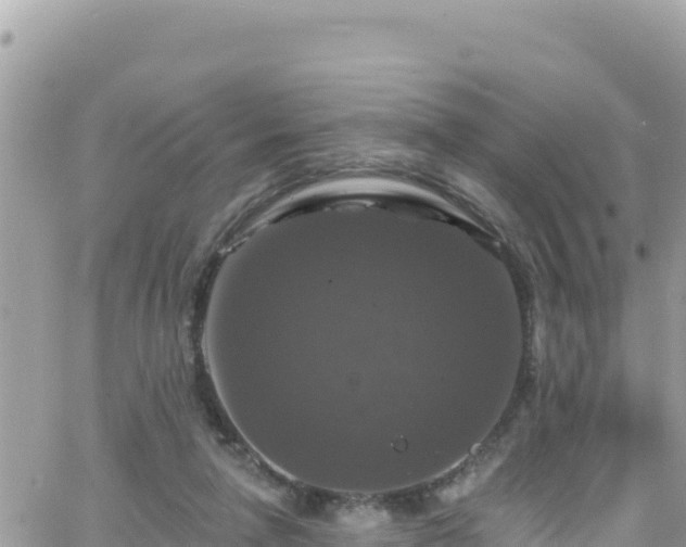 X0000066510258200603241314