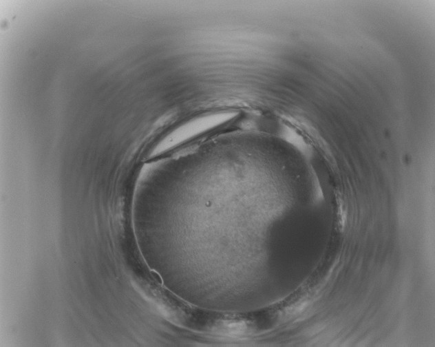 X0000066510260200603241314