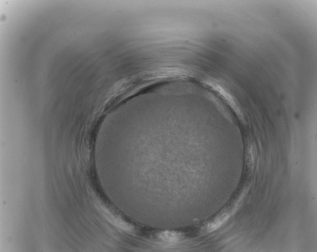 X0000066510261200603241314