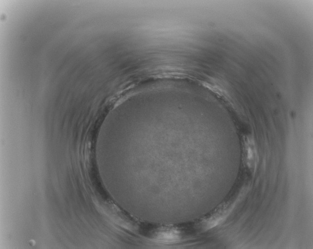 X0000066510263200603241314