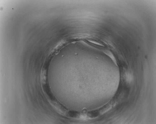 X0000066510264200603241314