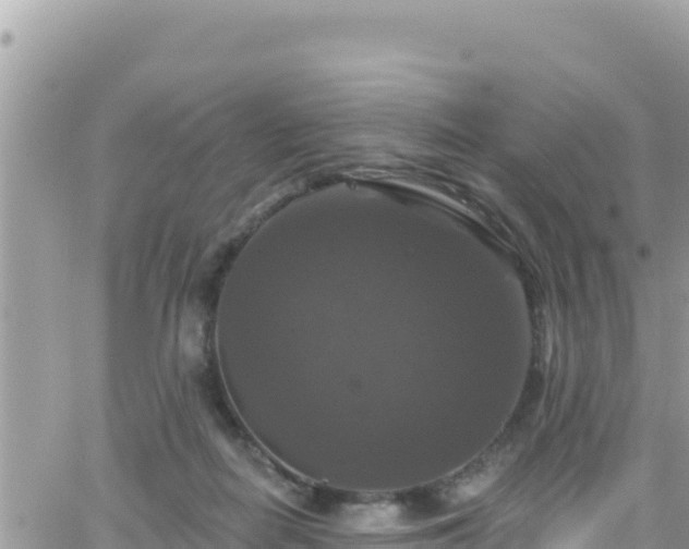 X0000066510266200603241314