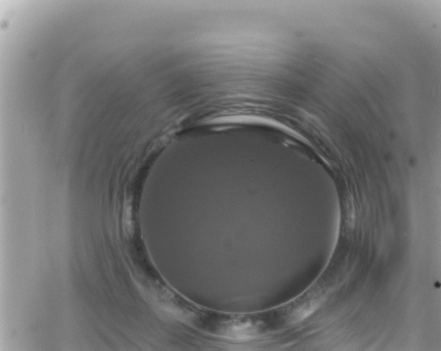 X0000066510267200603241314