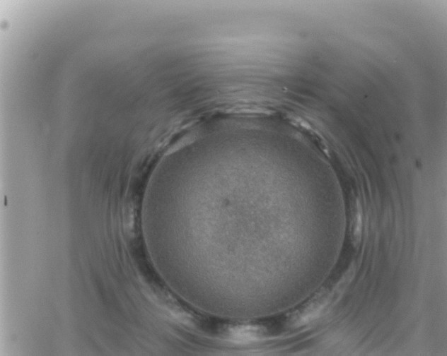 X0000066510268200603241314