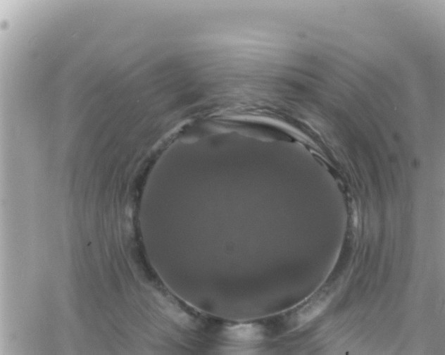 X0000066510269200603241314