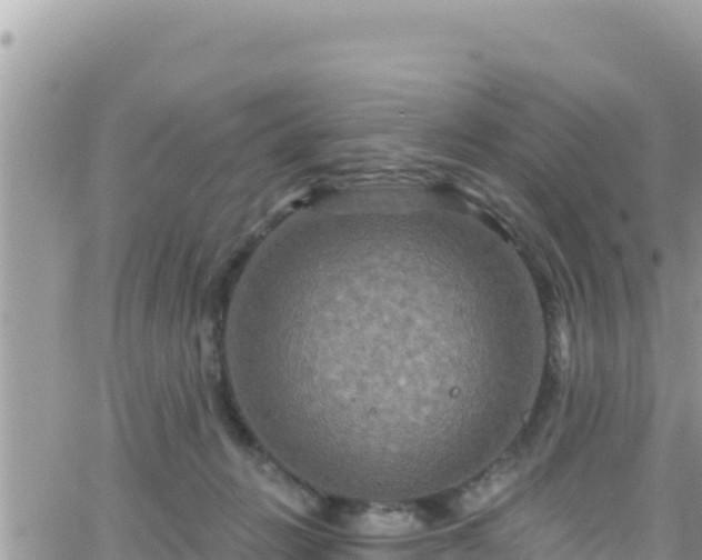 X0000066510270200603241314