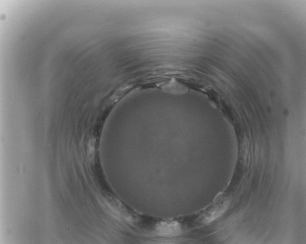 X0000066510271200603241314