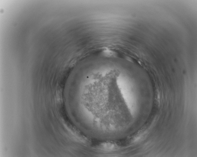 X0000066510272200603241314