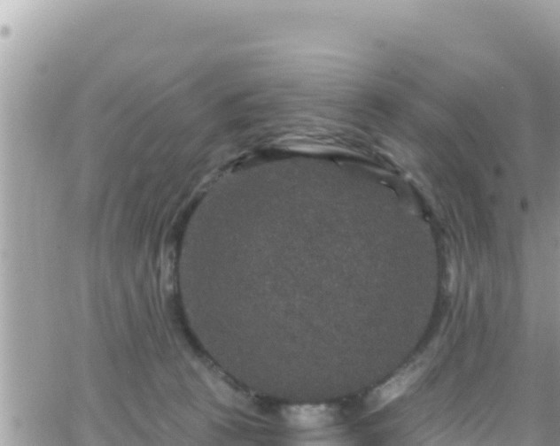 X0000066510273200603241314