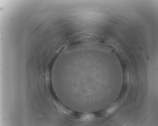 X0000066510274200603241314