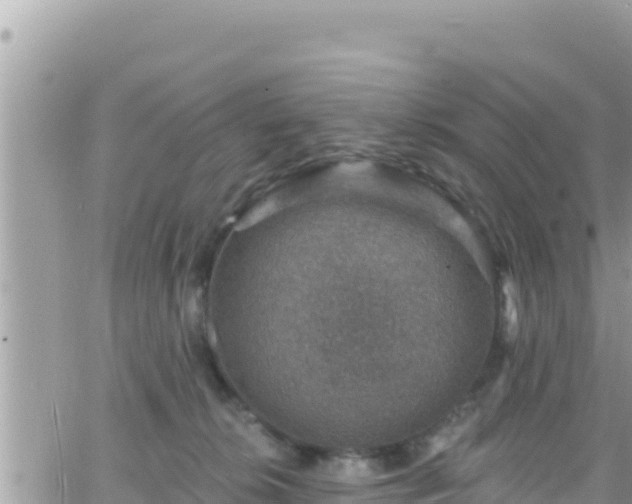 X0000066510276200603241314