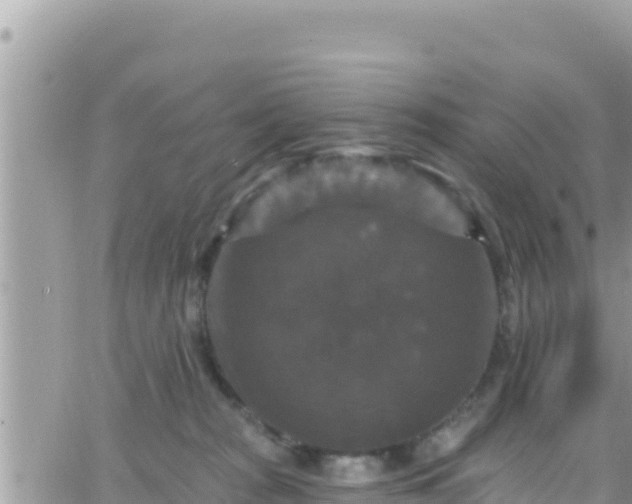 X0000066510277200603241314